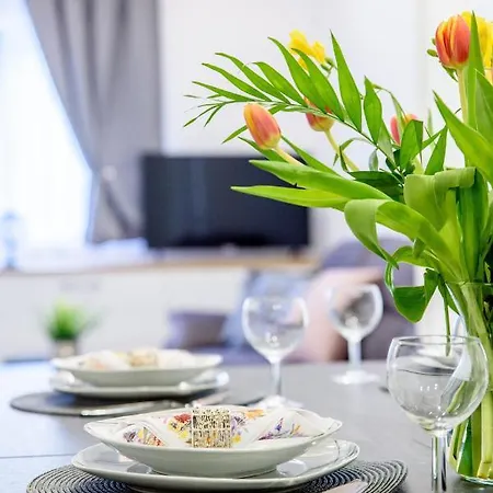 Apartment Solis Prgomet